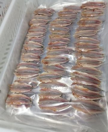  Filets d'anchois